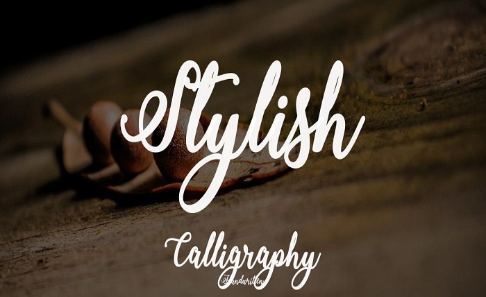 stylish language