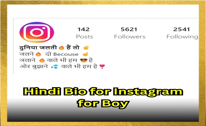 bio for instagram for boy attitude in hindi