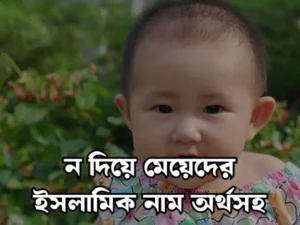 ন দিয়ে মেয়েদের ইসলামিক নাম