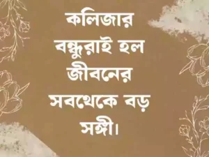 বন্ধু নিয়ে স্ট্যাটাস