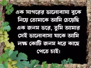 ছেলেদের ফেসবুক স্ট্যাটাস