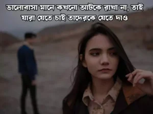 বাংলা শর্ট ক্যাপশন