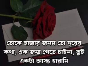 Facebook Caption Bangla
