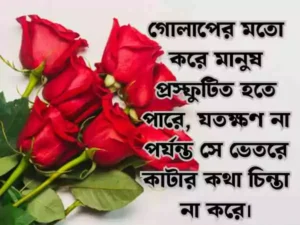 ফুল নিয়ে ক্যাপশন