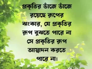প্রকৃতি নিয়ে ক্যাপশন