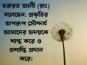 ফুল নিয়ে ক্যাপশন