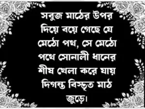 প্রকৃতি নিয়ে ক্যাপশন