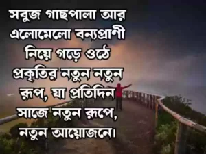 প্রকৃতি নিয়ে ক্যাপশন