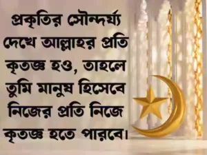 প্রকৃতি নিয়ে ক্যাপশন