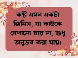 চাপা কষ্টের স্ট্যাটাস