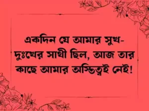 চাপা কষ্টের স্ট্যাটাস