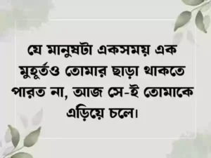 চাপা কষ্টের স্ট্যাটাস