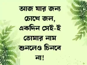 চাপা কষ্টের স্ট্যাটাস