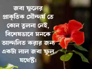 ফুল নিয়ে ক্যাপশন