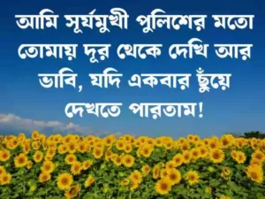 ফুল নিয়ে ক্যাপশন