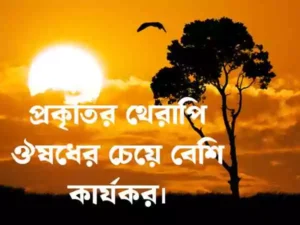 প্রকৃতি নিয়ে ক্যাপশন