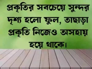 প্রকৃতি নিয়ে ক্যাপশন