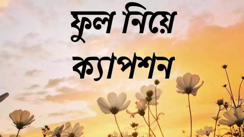 ফুল নিয়ে ক্যাপশন