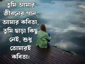ইমোশনাল স্ট্যাটাস