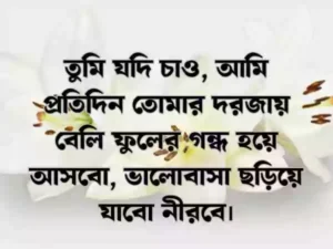 ফুল নিয়ে স্ট্যাটাস