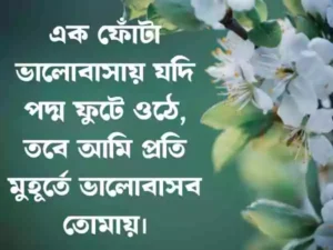 ফুল নিয়ে স্ট্যাটাস