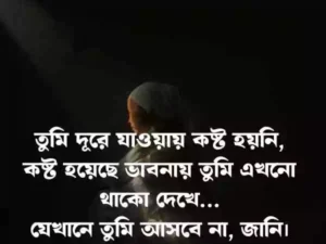 ইমোশনাল স্ট্যাটাস
