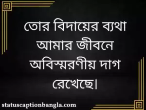 অকাল মৃত্যু নিয়ে স্ট্যাটাস