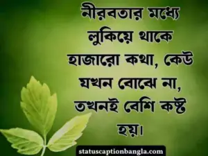 আবেগি কষ্টের স্ট্যাটাস
