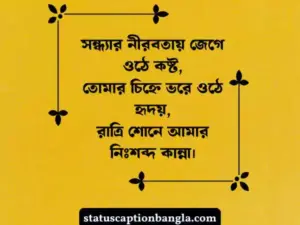 গভীর রাতের কষ্টের ষ্ট্যাটাস