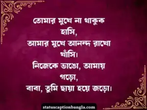 বাবাকে নিয়ে ষ্ট্যাটাস