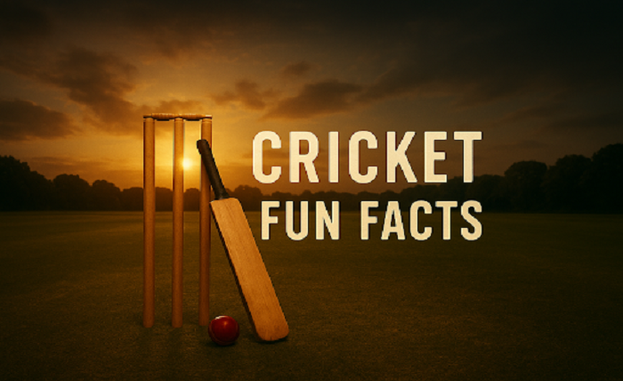 ক্রিকেট